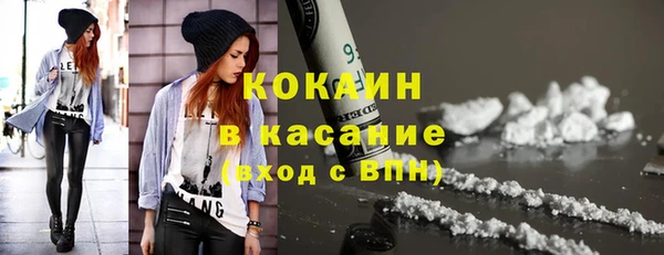 гидра Карпинск