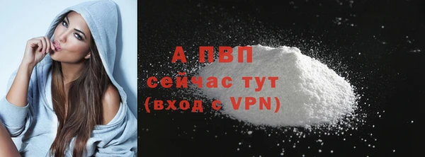 гидра Карпинск