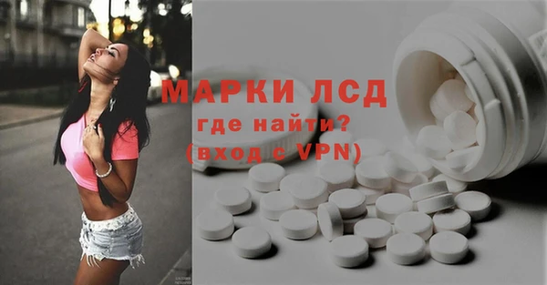 гидра Карпинск