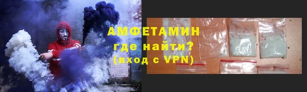 гидра Карпинск
