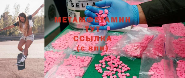 гидра Карпинск