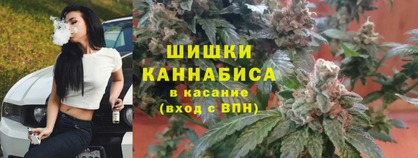 крисы Касимов