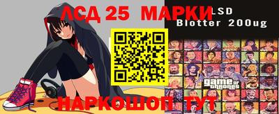 амф Гатчина