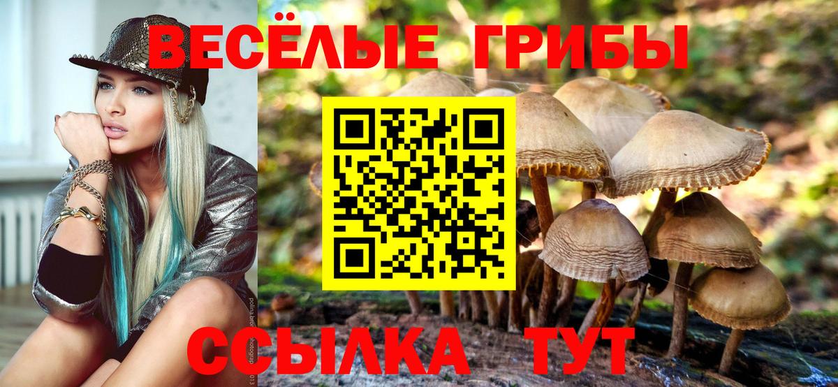 Можайск  Псилоцибиновые грибы мухоморы  Вход с VPN 